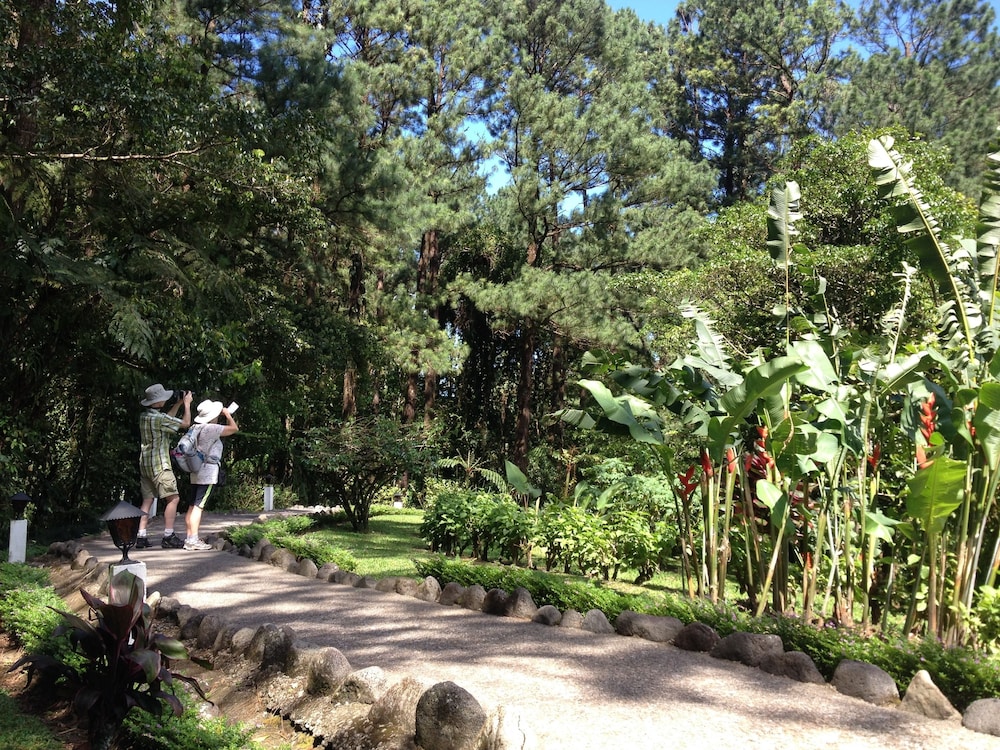 Arenal Observatory Lodge & Trails 109