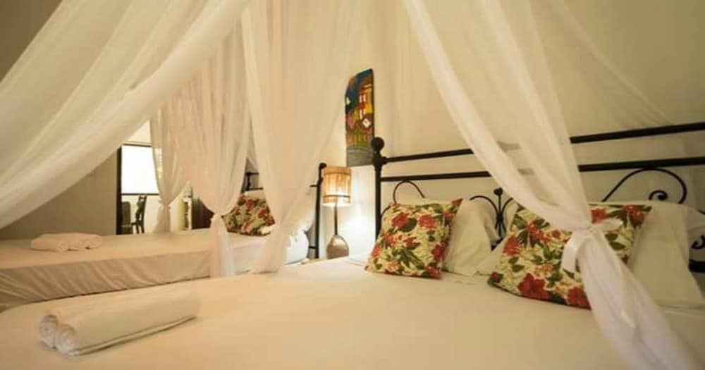 Vila Rosa dos Ventos - casas e pousada