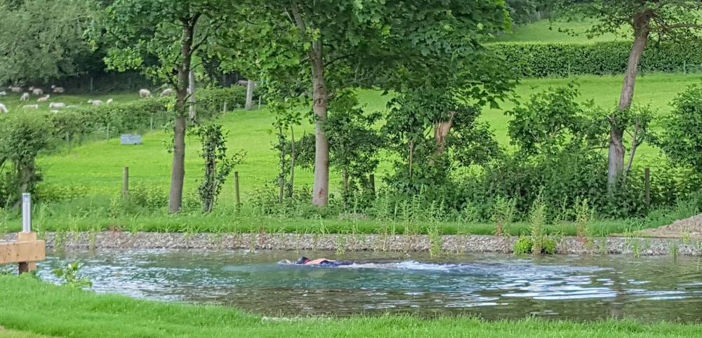Photo 47