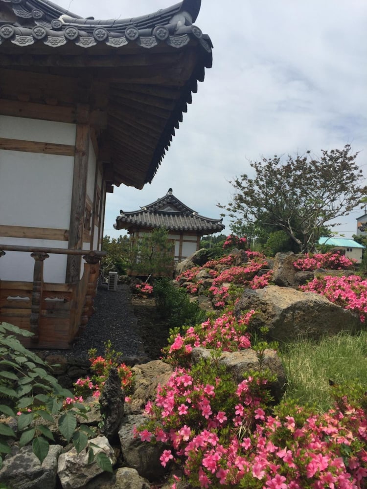 Canopus Resort Pension