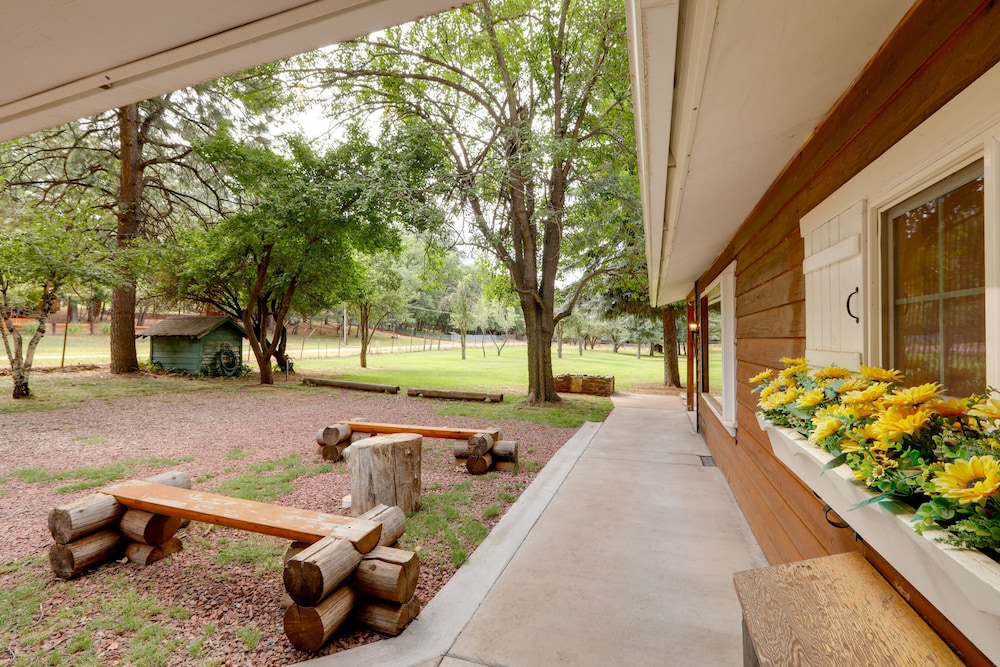 Rustic Pine Retreat w/ Fenced 1-acre Yard - Property Image 3