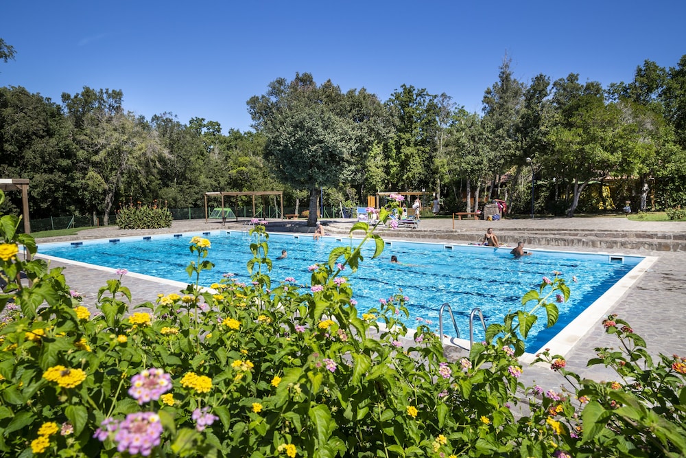 Photo 97