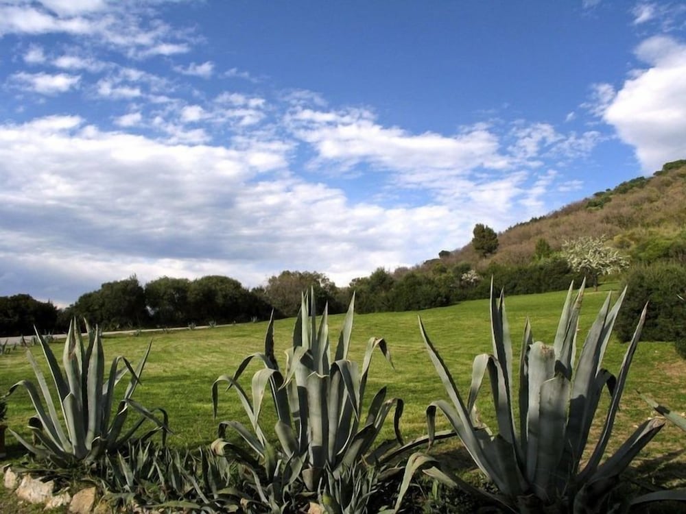 Presidio