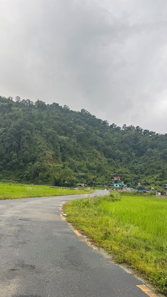 Chipaskot Spot