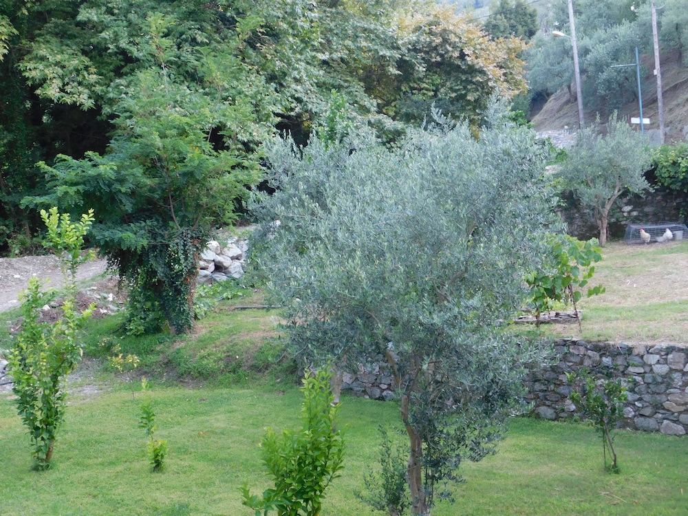 Photo 66
