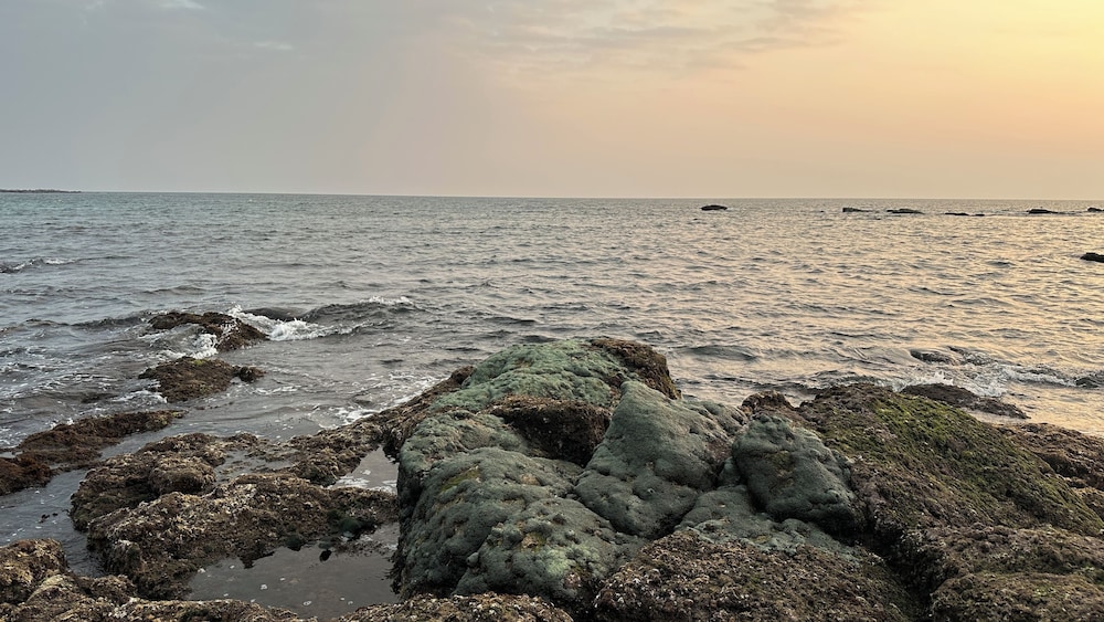 Roushan Resort