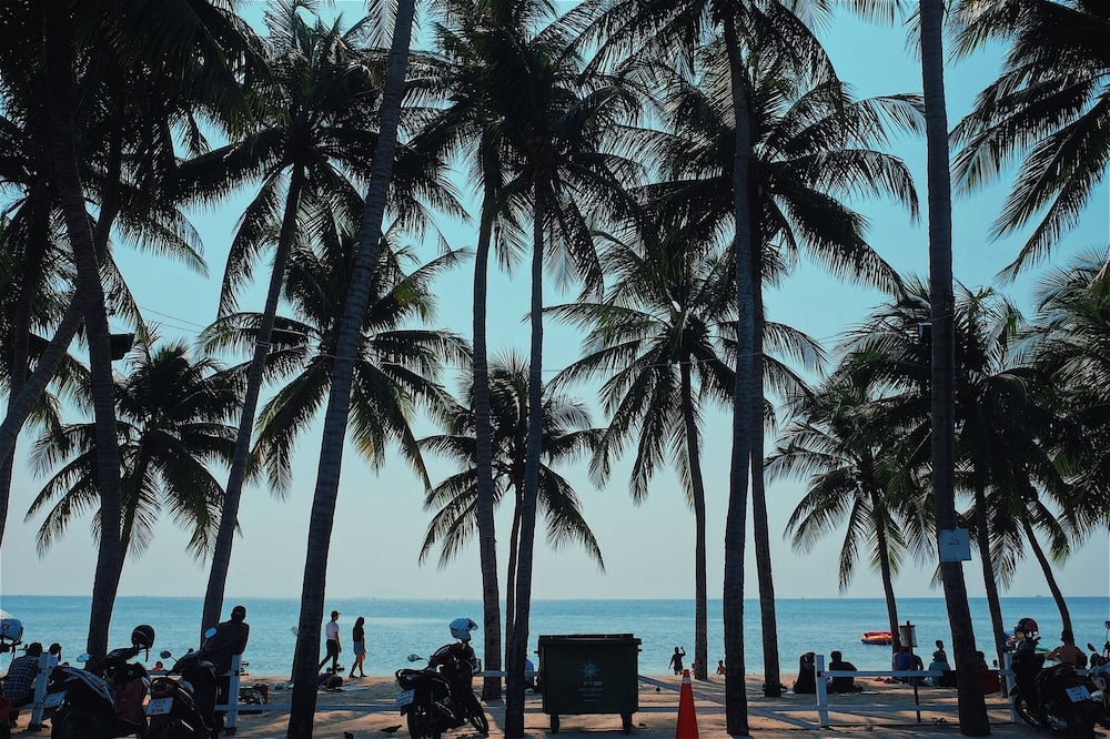 Sea Sand Trees
