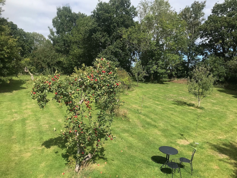 Rosebank Bed & Breakfast