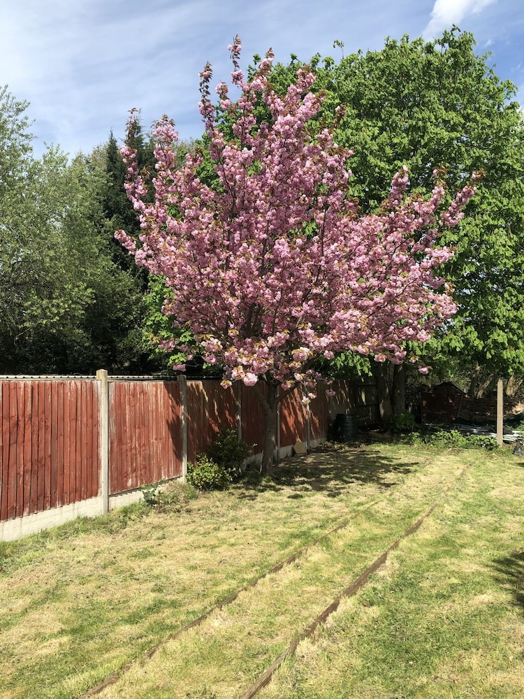 Photo 39