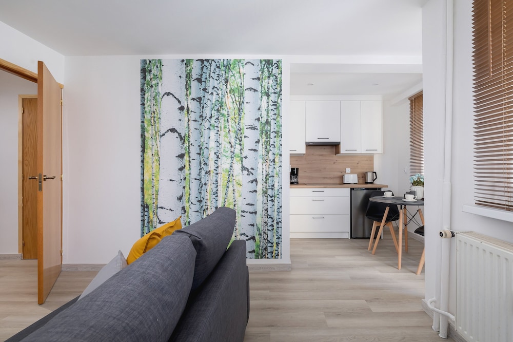 Studio With Desk in Katowice by Renters