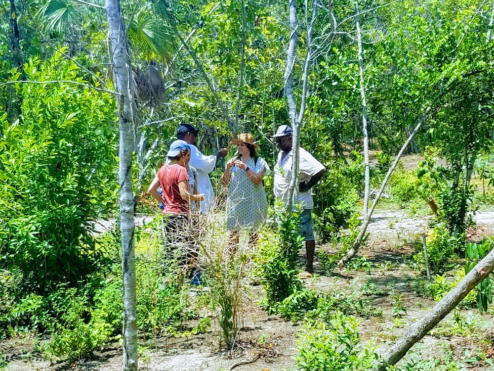 Palmento Grove Eco Cultural & Fishing Lodge