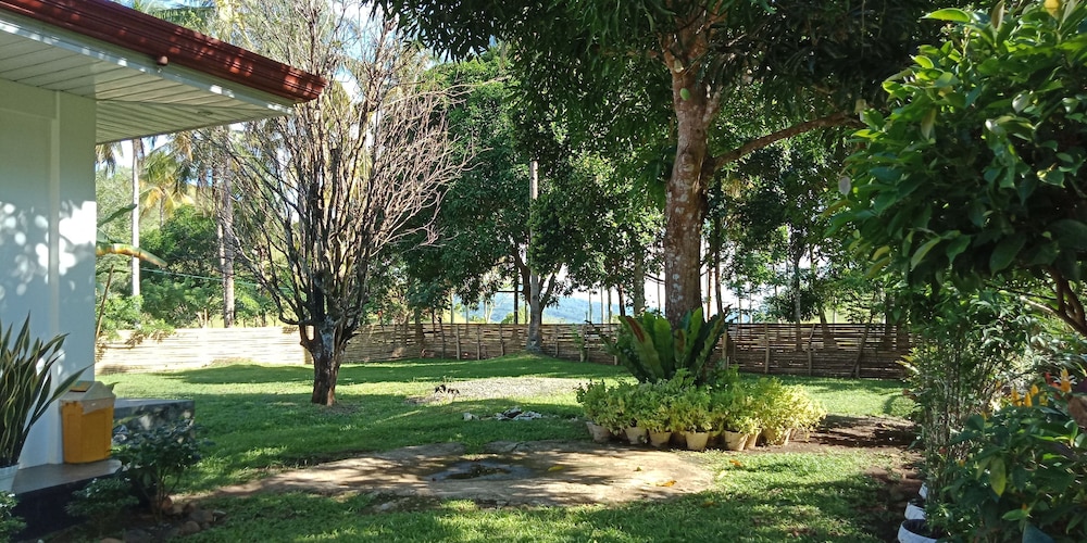 Photo 52
