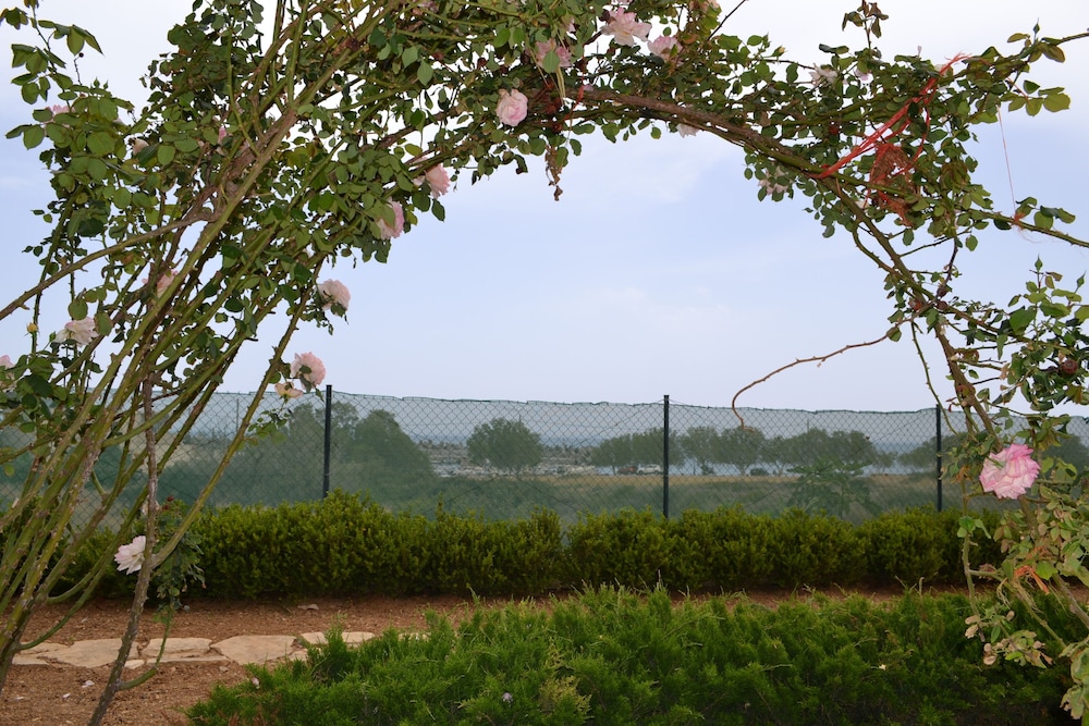 Villa Elena