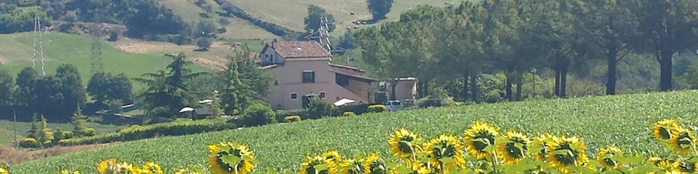 Agriturismo La Contea By Bice