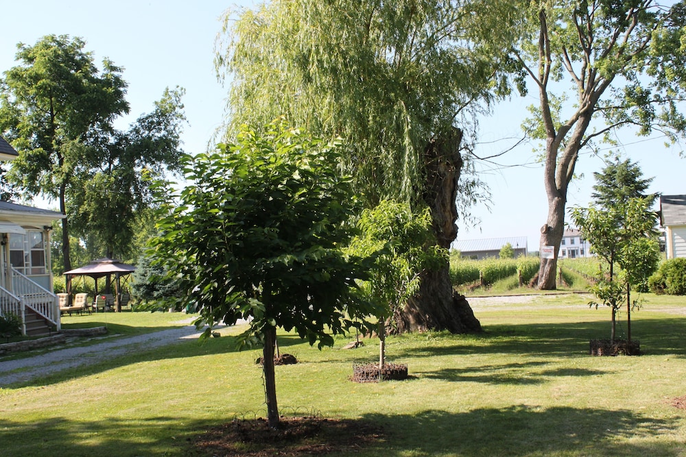 Photo 43