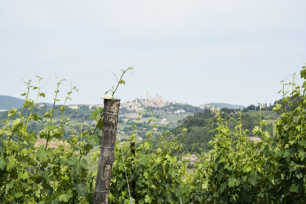 Croce di Bibbiano, photo 61