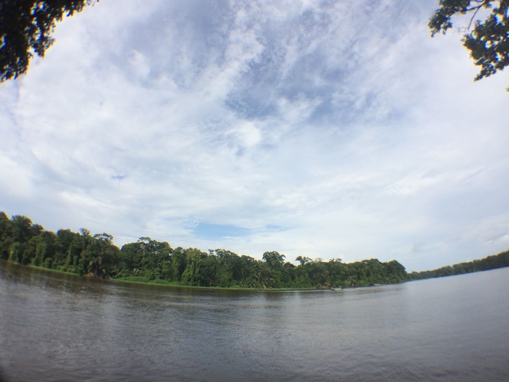 Foresta Lodge