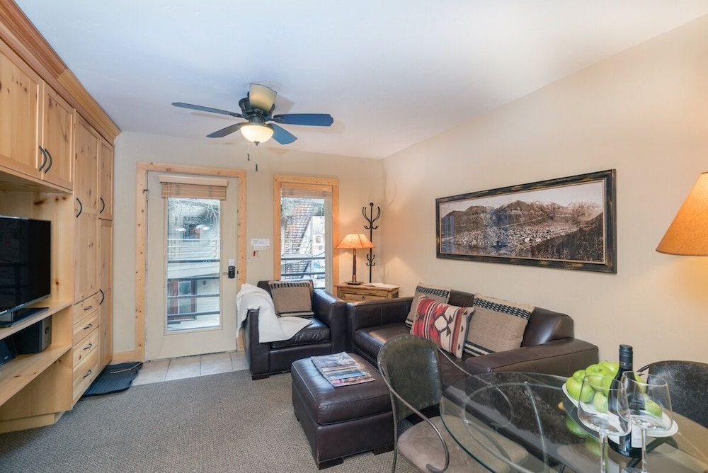 Telluride Ski Resort CO - Viking Lodge Condos