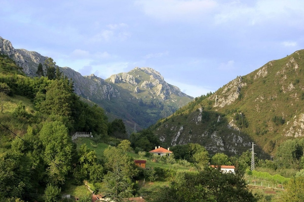 Photo 29