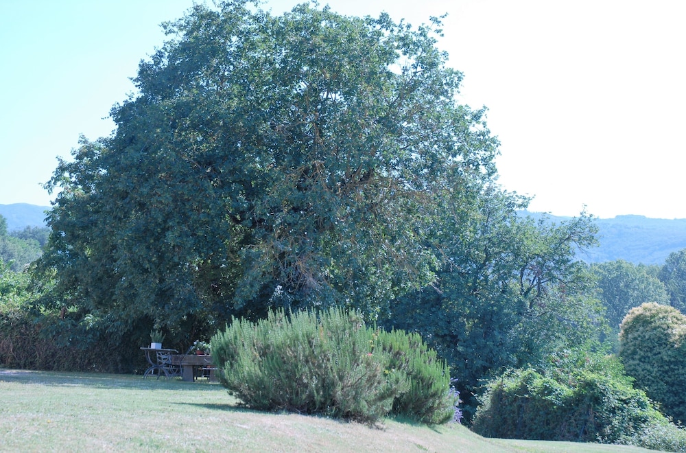 Photo 37