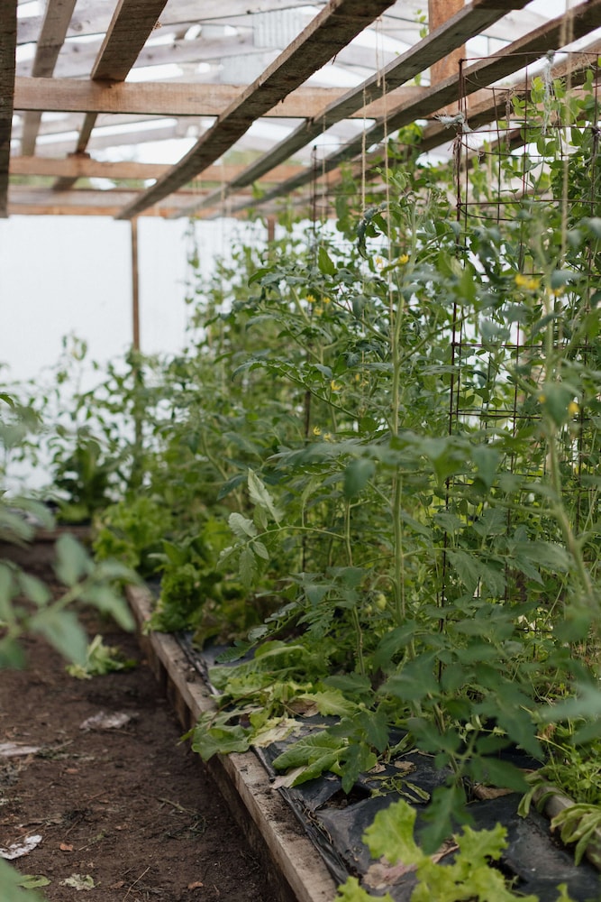 Ruby Lake Resort