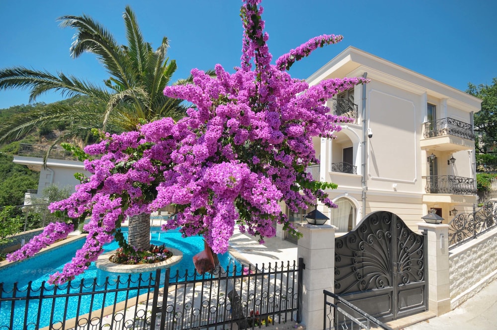 St. George Apartments and Villa with pool