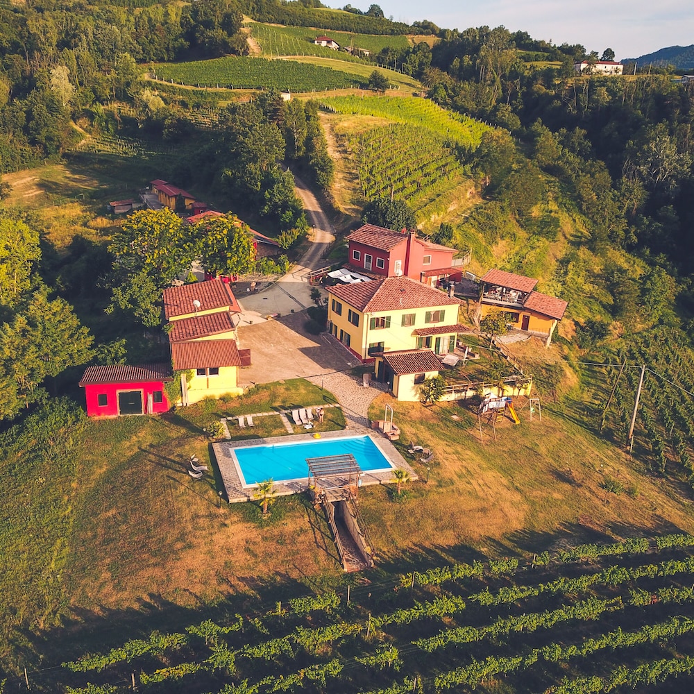 Tenuta MonteOliveto