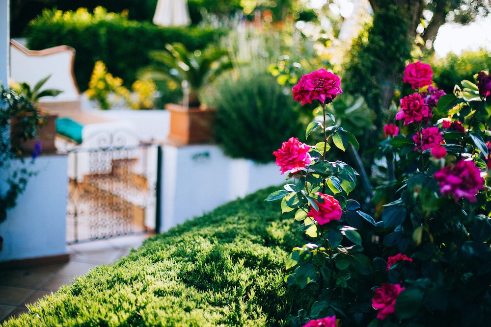 IL Giardino Dell'Arte - Guest House
