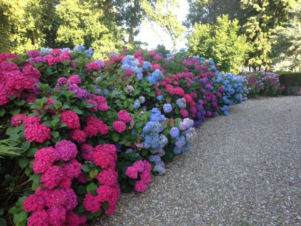 Domaine Château de Bourville