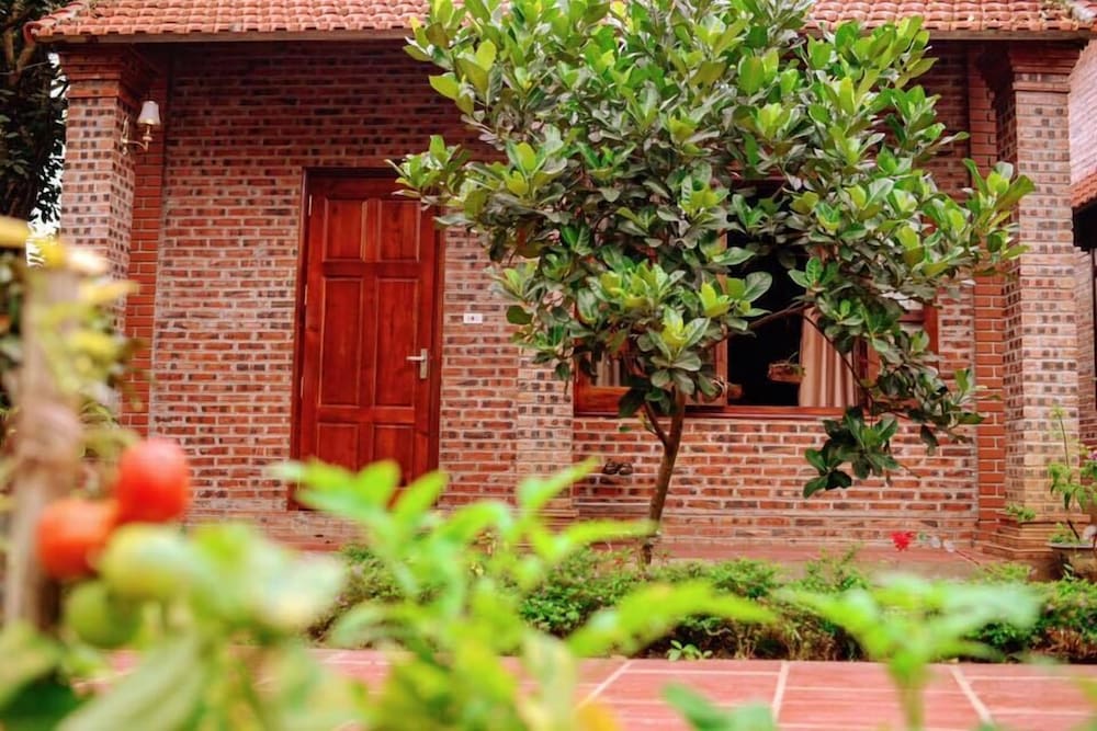 Ninh Bình Friendly Homestay