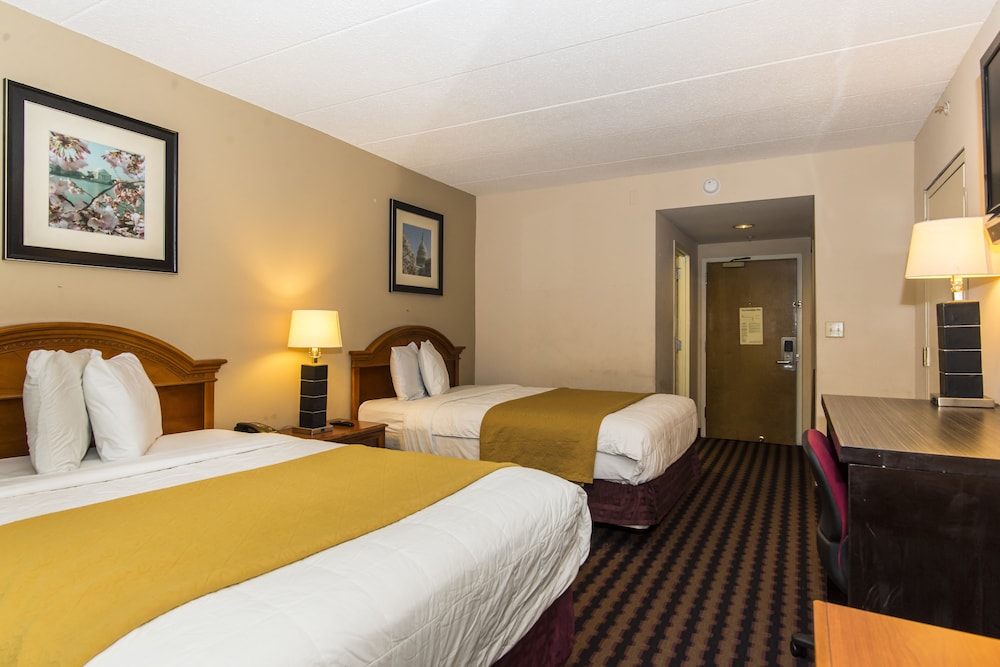 Laurel Vacations - Garden Inn - Property Image 22