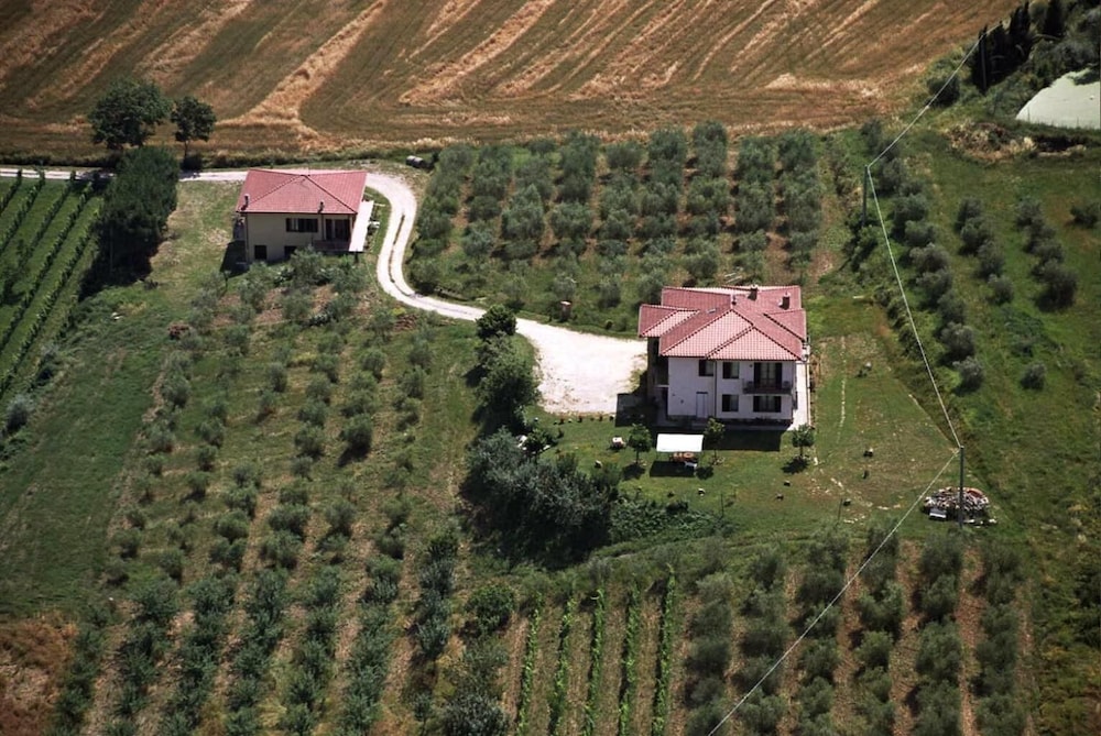 Photo 23