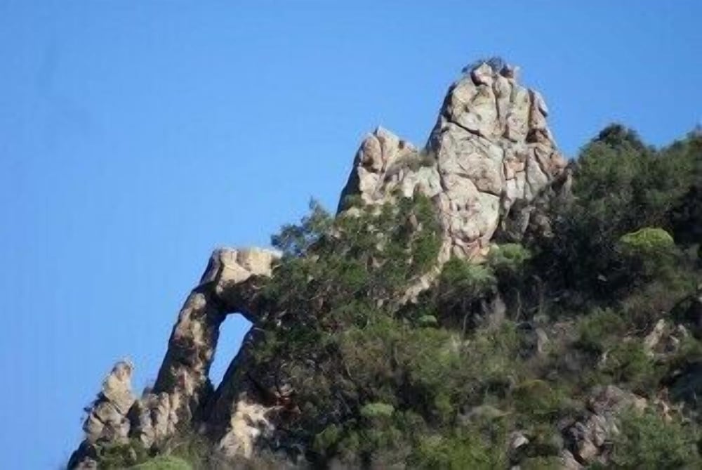 Photo 40