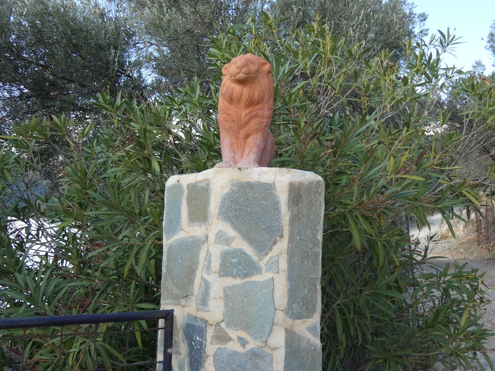 Photo 13