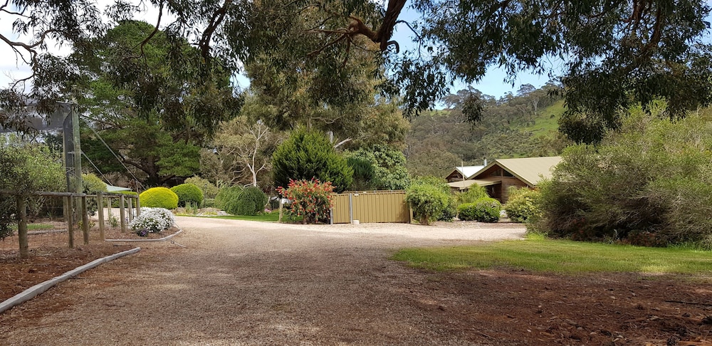 Photo 16
