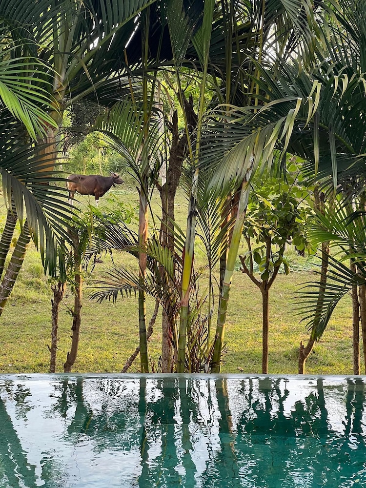 Samudra Damai Villas