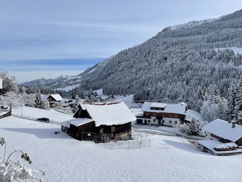 ALP-CHALET Ferienwohnungen Kleinwalsertal