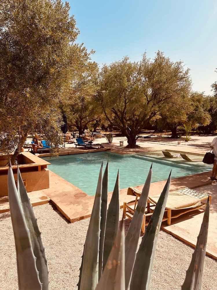 The Garden of Siredrah an Oasis With Pool and Hammam