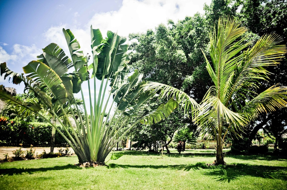 El Jardin del Coco