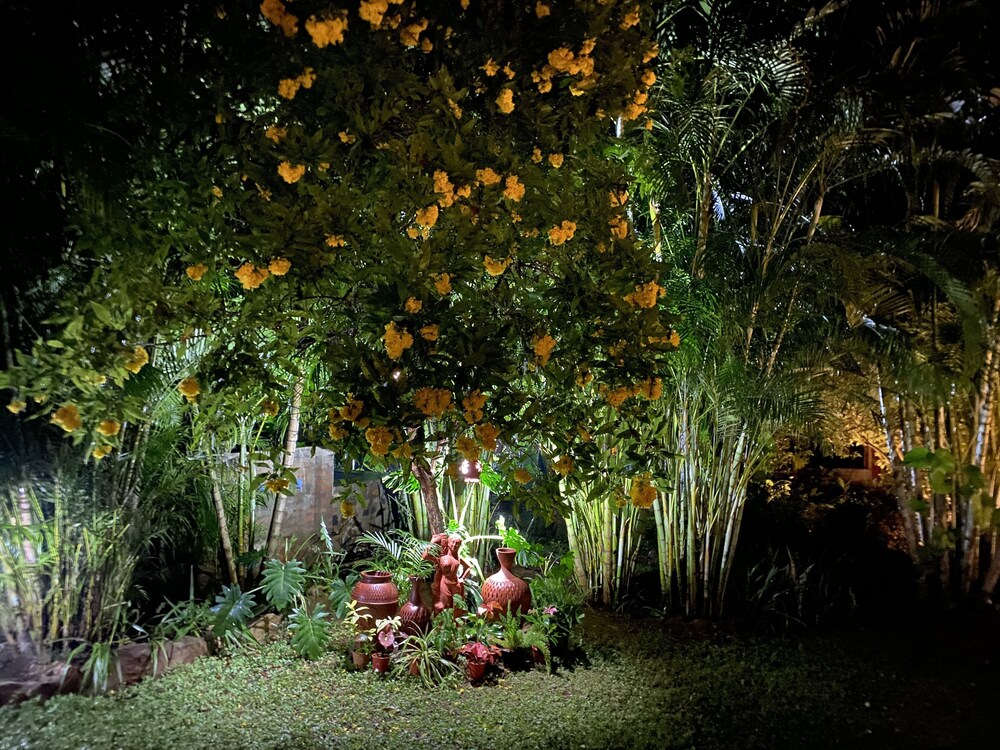 Family Managed Charming Lodge Near Mysore , India view 5
