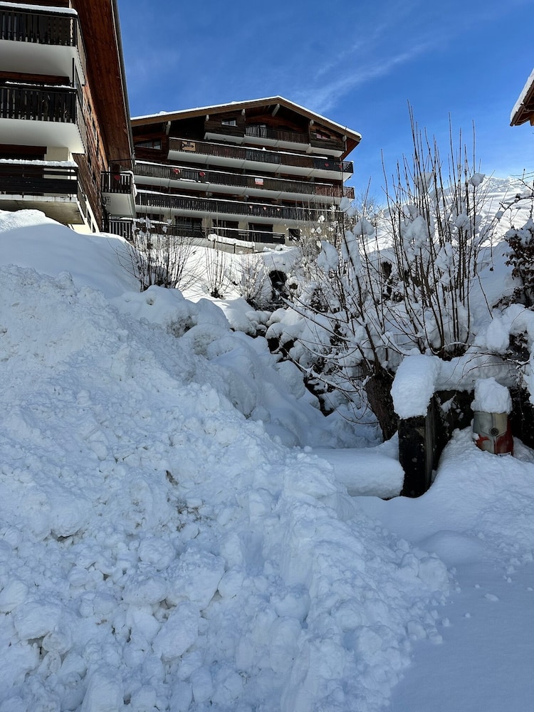 Le Lodge Monteva - Sur les pistes - Esc'Appart