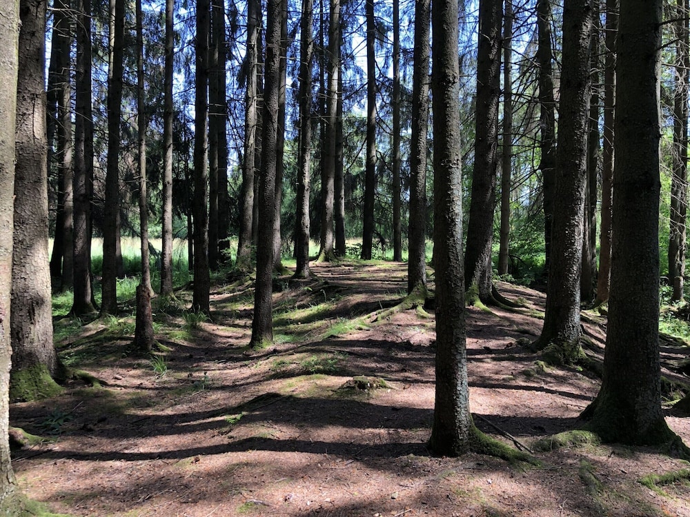 Photo 25