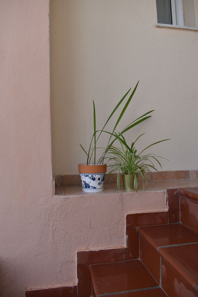 Kripis House