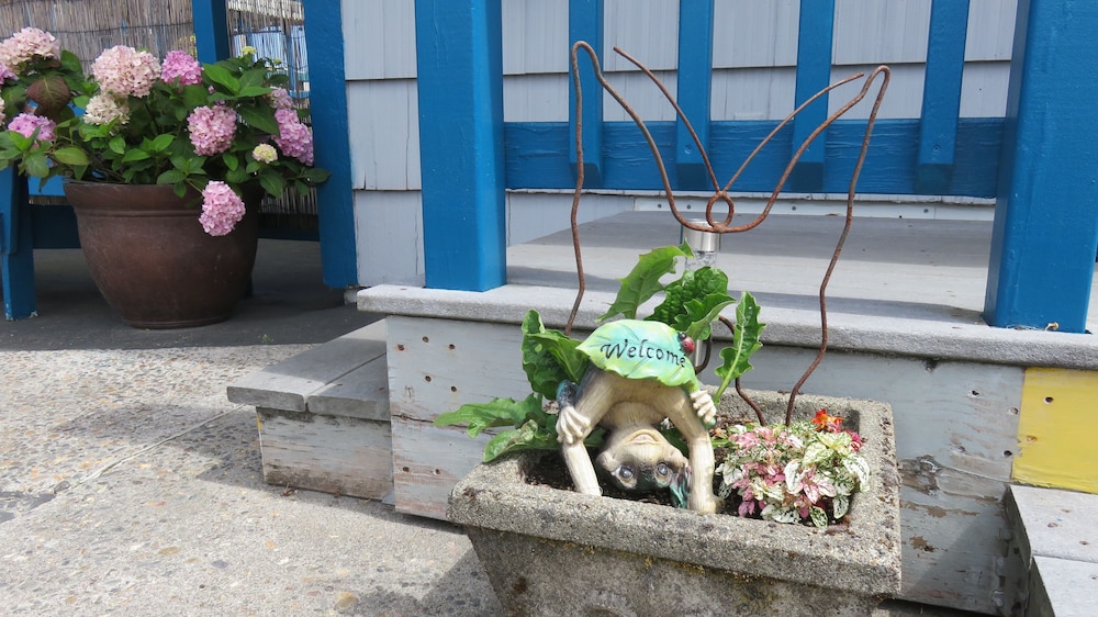 Mermaid Inn