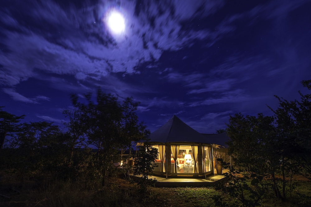 The Elephant Camp
