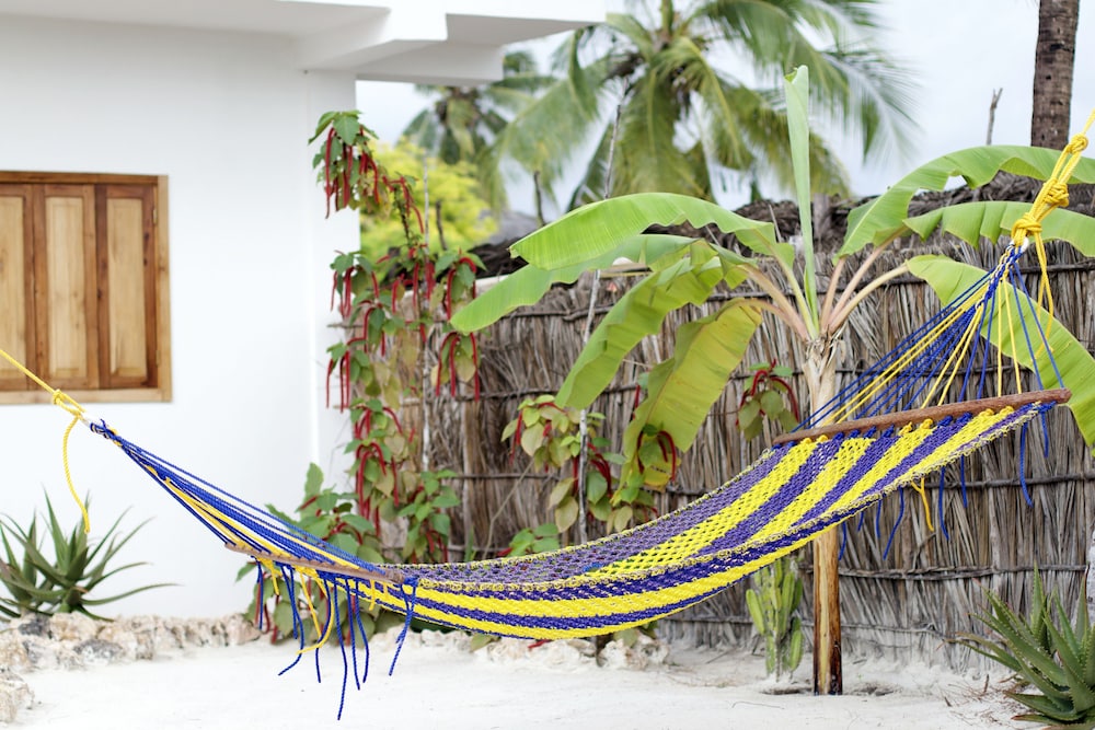 Photo 56