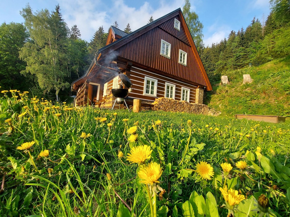 Villa Near Horni Domky Ski Resort