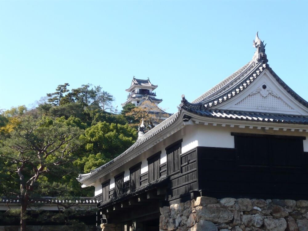 Tosaryu Onsen Sanyoso