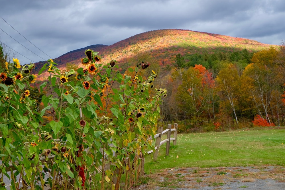 Mountain Treasure B&B