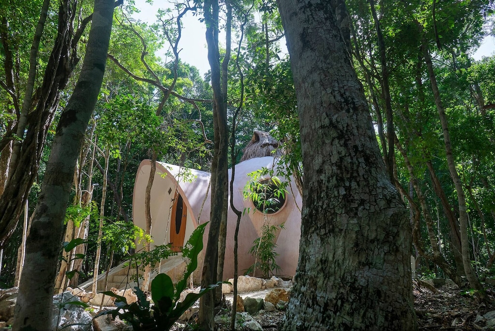 Room in Lodge - Unique Jungle Dome 2 Queen Beds